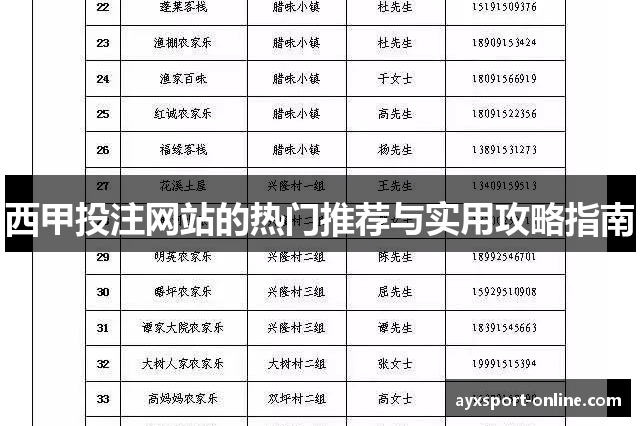 西甲投注网站的热门推荐与实用攻略指南