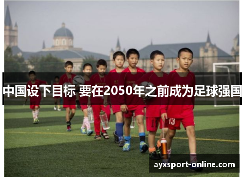 中国设下目标 要在2050年之前成为足球强国